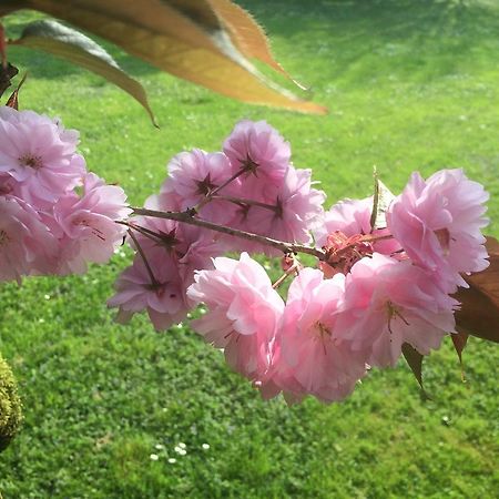 بادوفا Il Cantelino المظهر الخارجي الصورة